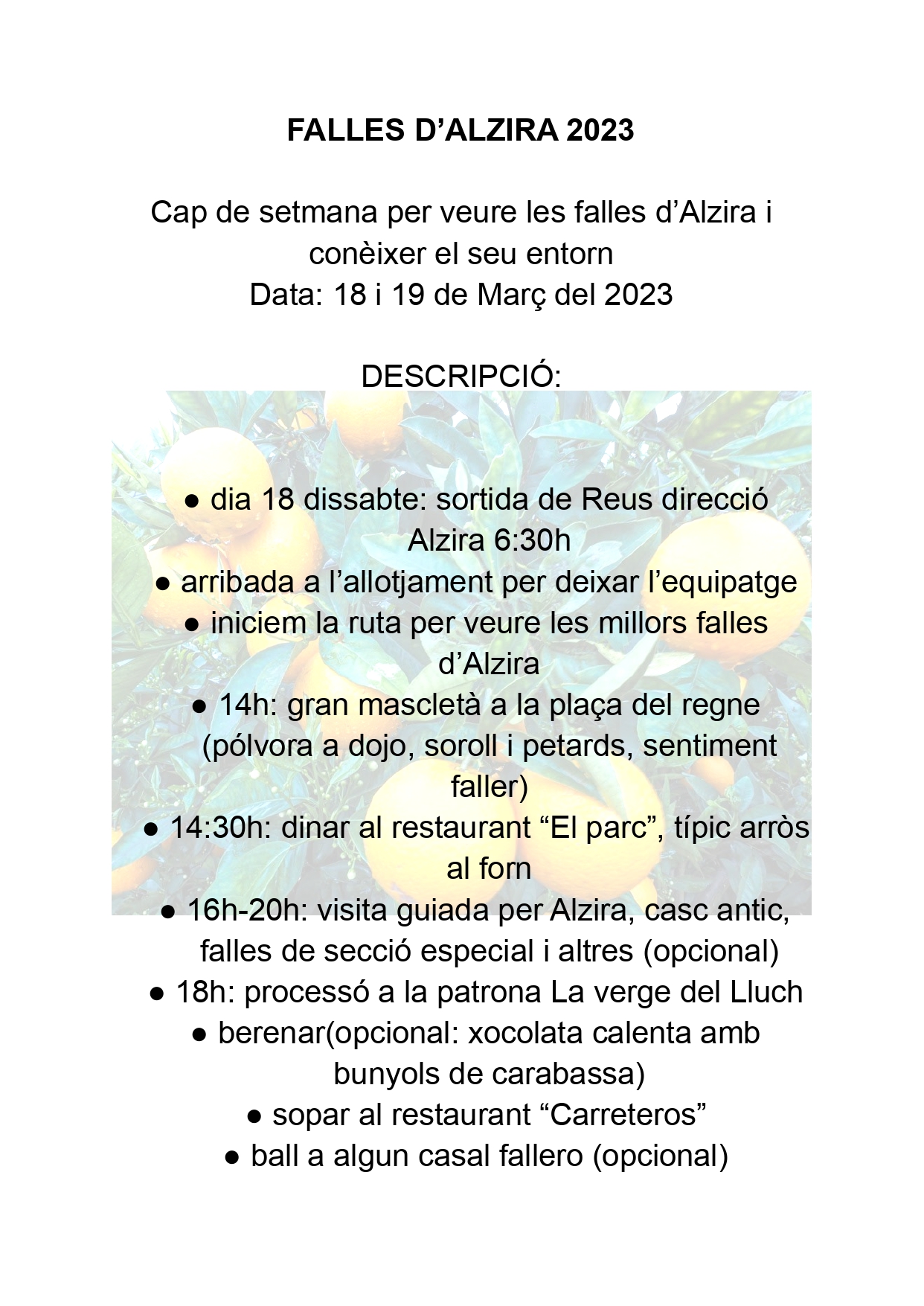 FALLES D’ALZIRA 2023 (1)_page-0001.jpg (788 KB)